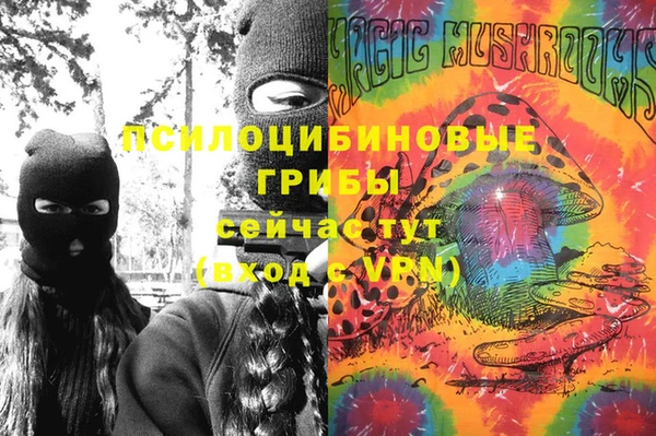 бошки Абдулино