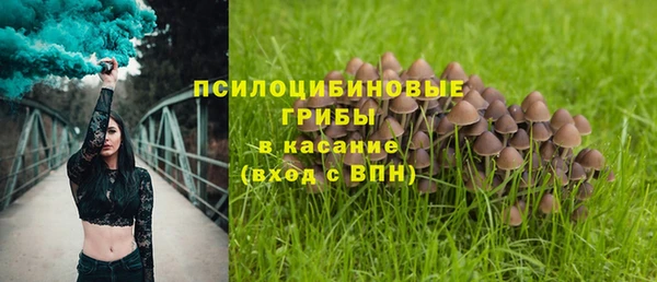 бошки Абдулино