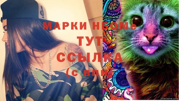 тгк Абинск