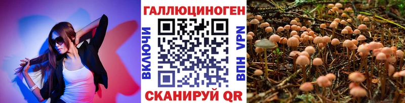 Псилоцибиновые грибы MAGIC MUSHROOMS  Нижняя Салда 